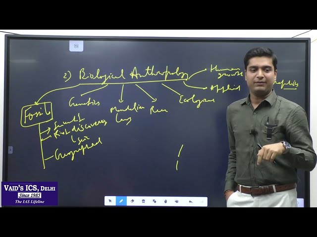 Video Image